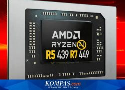 Chip AMD Ryzen 5 439 dan Ryzen 7 449 tanpa NPU