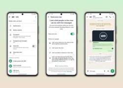 Restricted Chat WhatsApp beta Android - tampilan pengaturan privasi chat di layar info chat